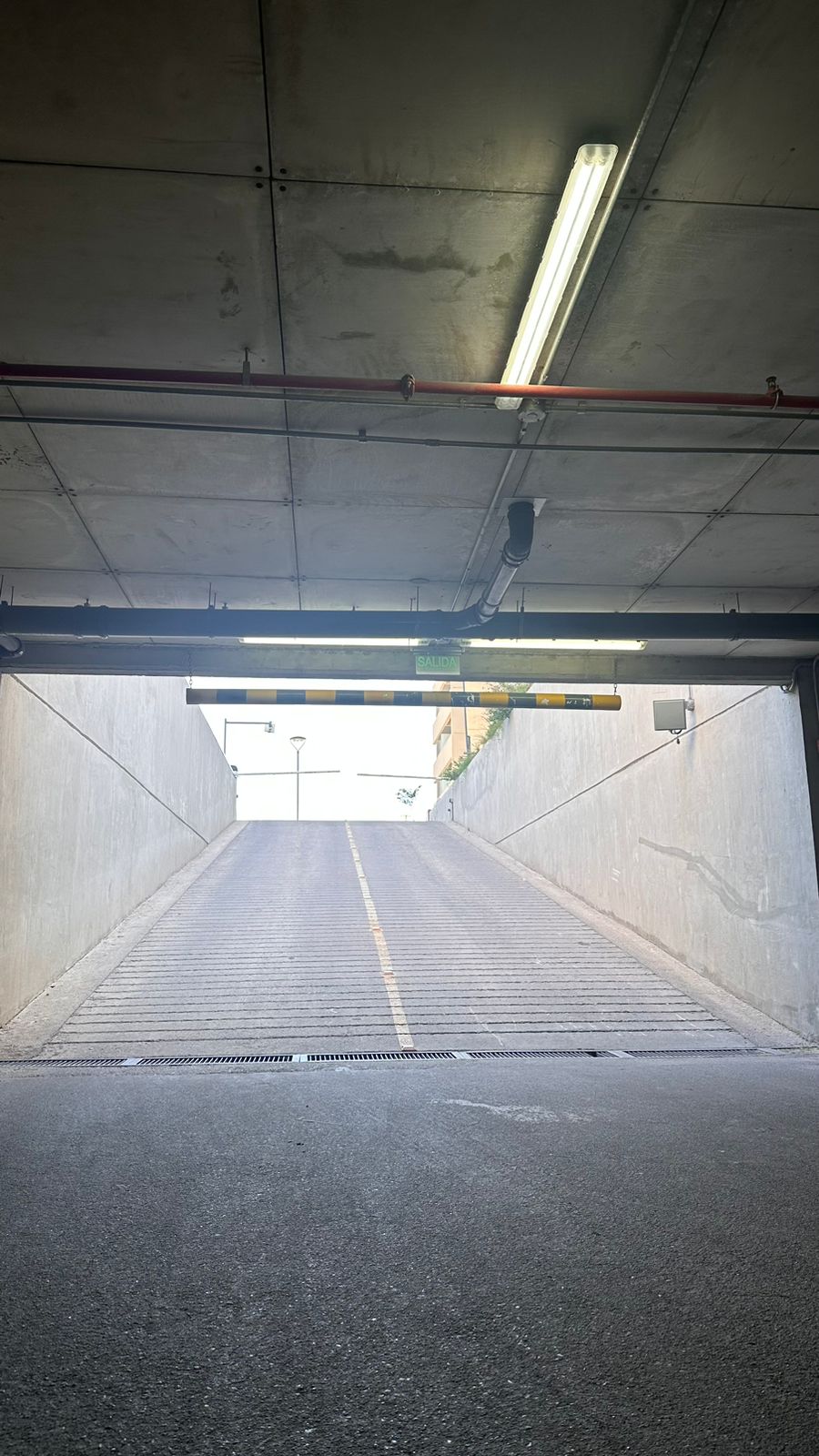 WhatsApp Image 2024-11-01 at 3.50.01 PM