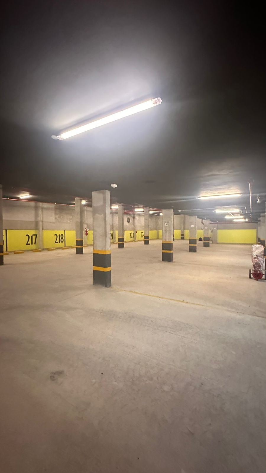 WhatsApp Image 2024-11-01 at 3.50.02 PM