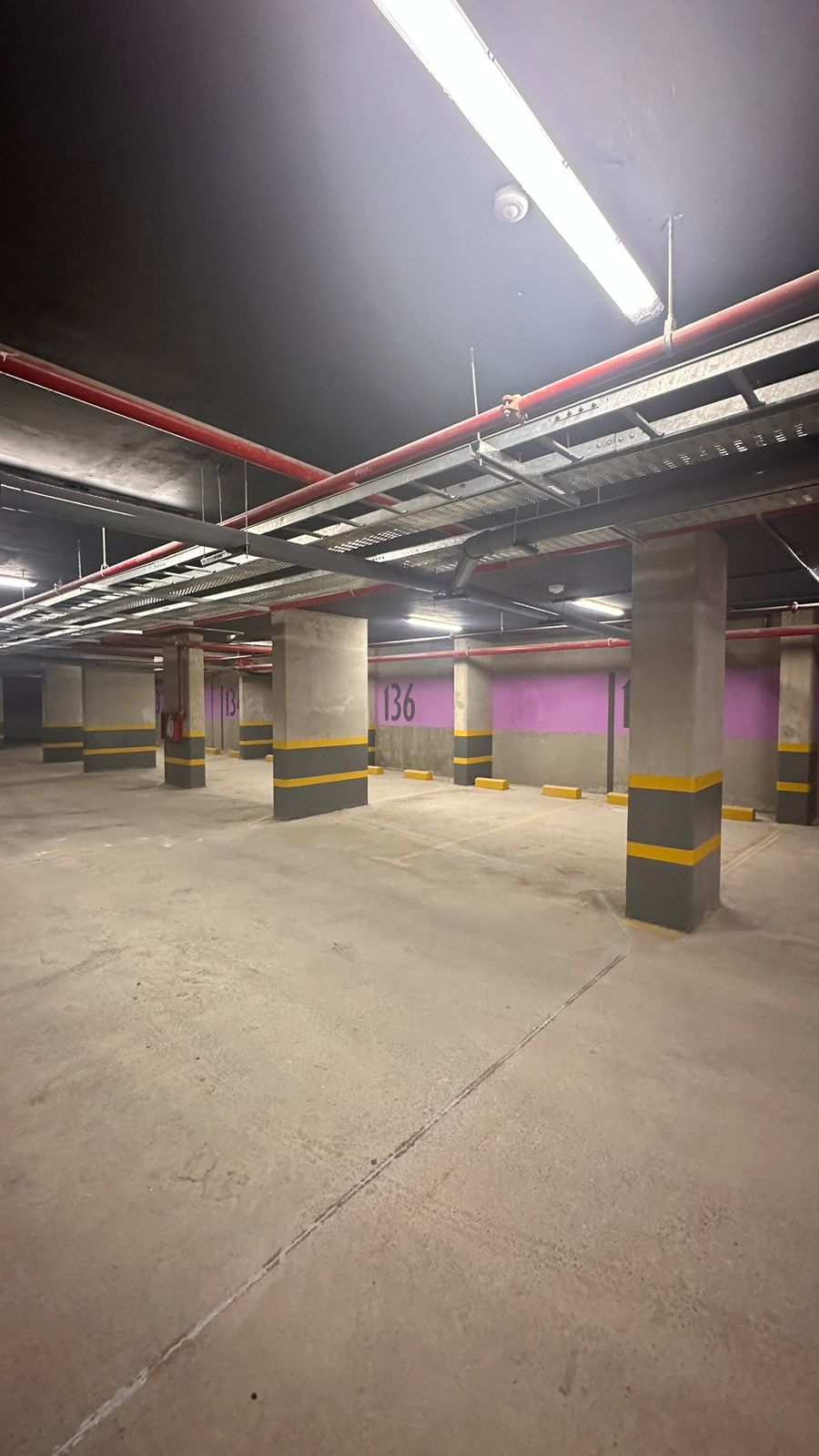 WhatsApp Image 2024-11-01 at 3.50.03 PM (1)