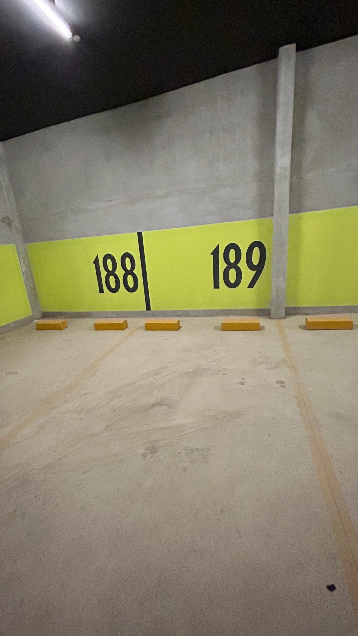 WhatsApp Image 2025-01-08 at 2.53.20 PM