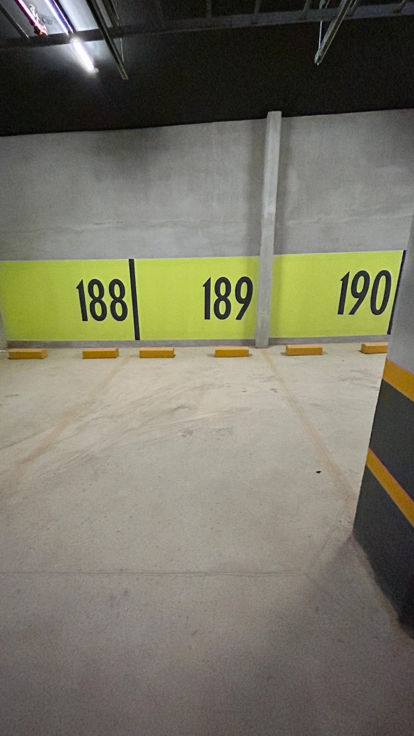 WhatsApp Image 2025-01-08 at 2.53.21 PM