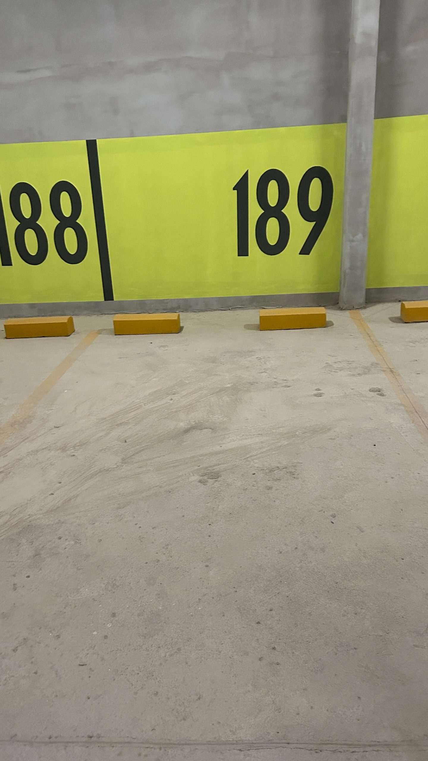 WhatsApp Image 2025-01-08 at 2.53.22 PM