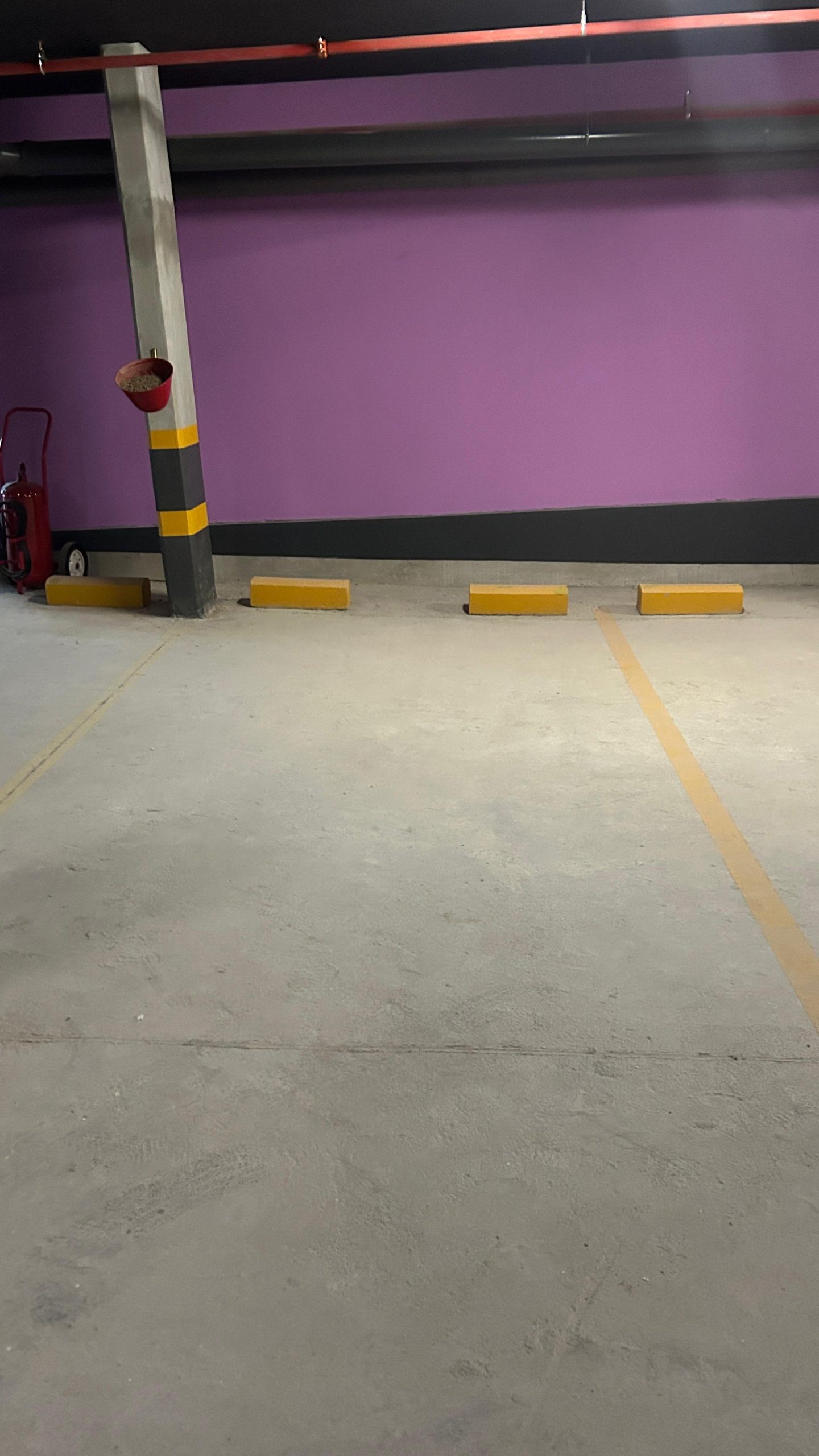 WhatsApp Image 2025-01-08 at 2.53.25 PM