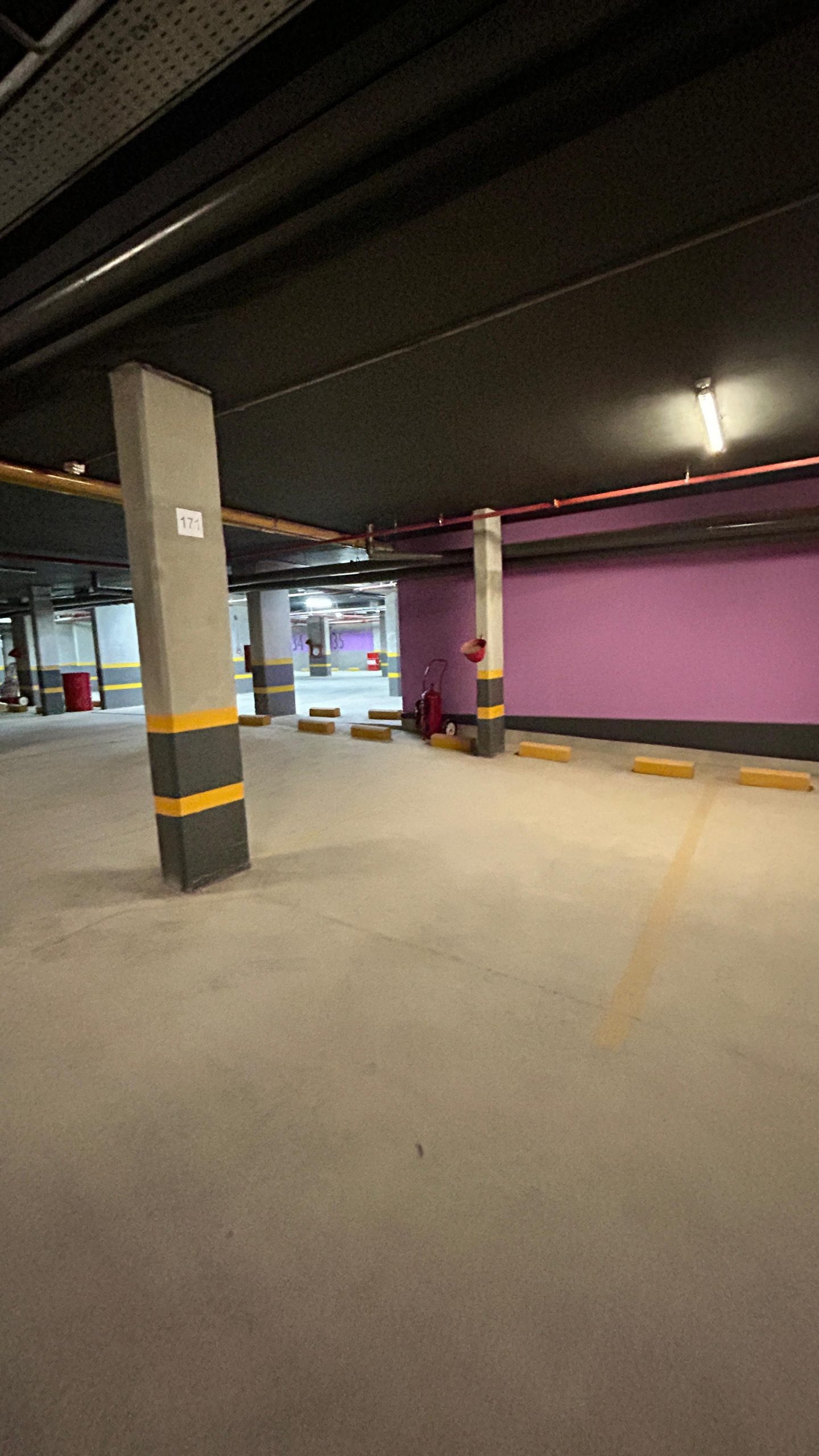 WhatsApp Image 2025-01-08 at 2.53.27 PM