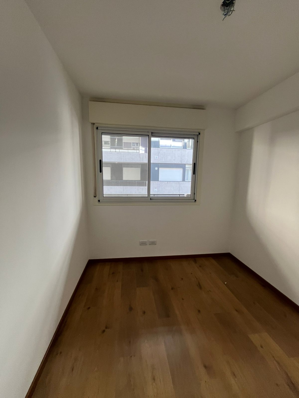 WhatsApp Image 2024-12-02 at 16.13.40