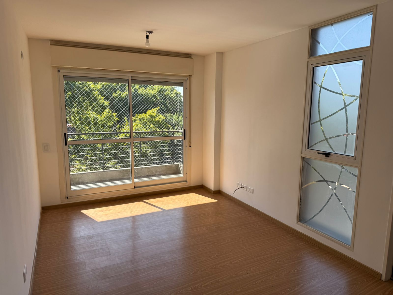 WhatsApp Image 2026-01-30 at 10.11.13