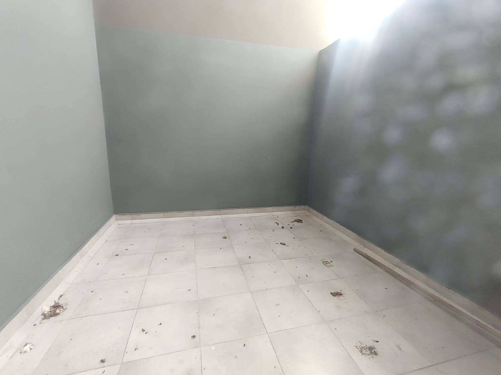 WhatsApp Image 2026-03-09 at 5.00.27 PM (3)